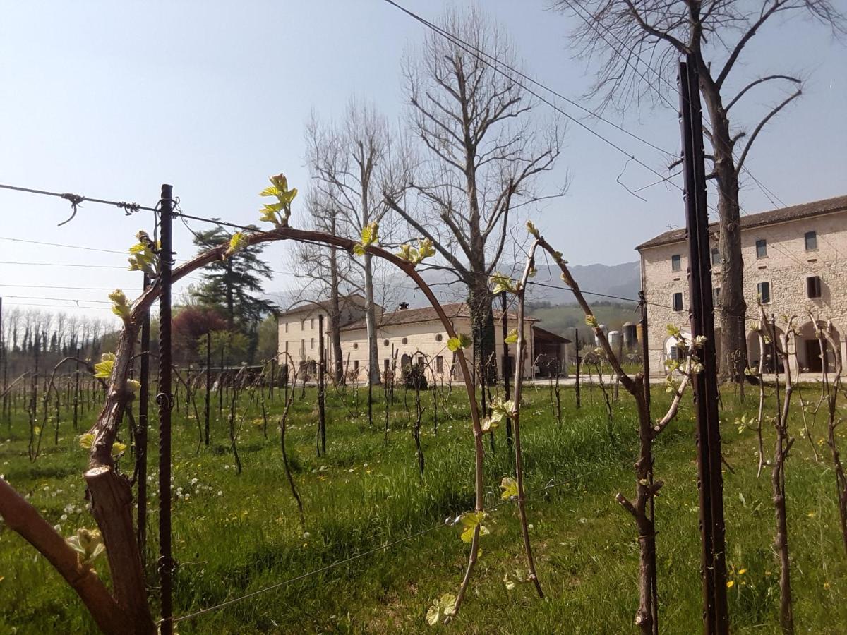 Agriturismo La Bella 福利纳 外观 照片